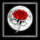 FIGLI DELLA LUNA